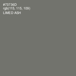 #73736D - Limed Ash Color Image